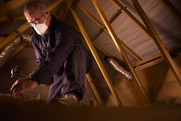Best Types of Insulation in Magalia, CA